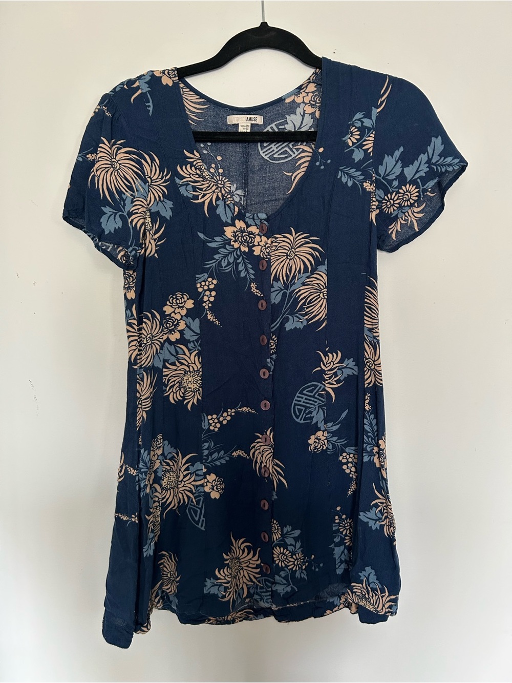Amuse society dress